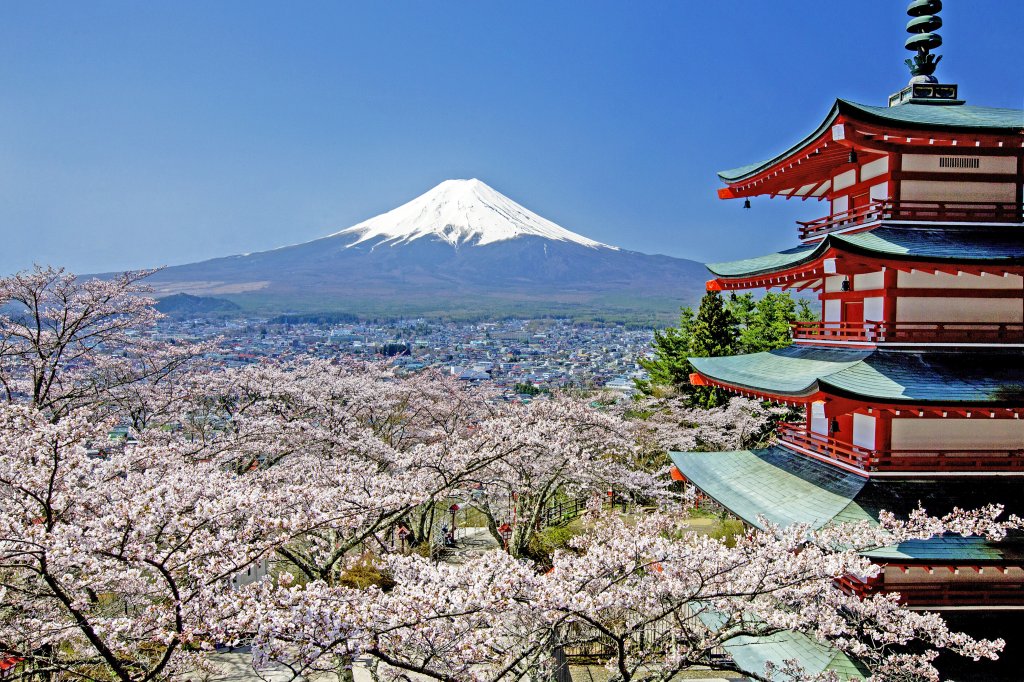 D7_Arakurayama Sengen Park_image credit fujiyoshida.net