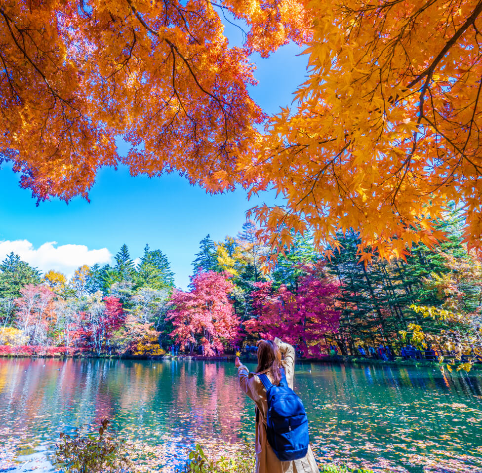 14-Day Enchanting Kanto Experience: 
Tokyo, Atami and Nagano